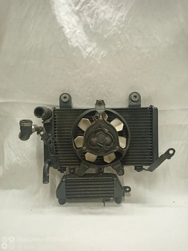 Radiateur TRIUMPH TIGER 955i de 2001