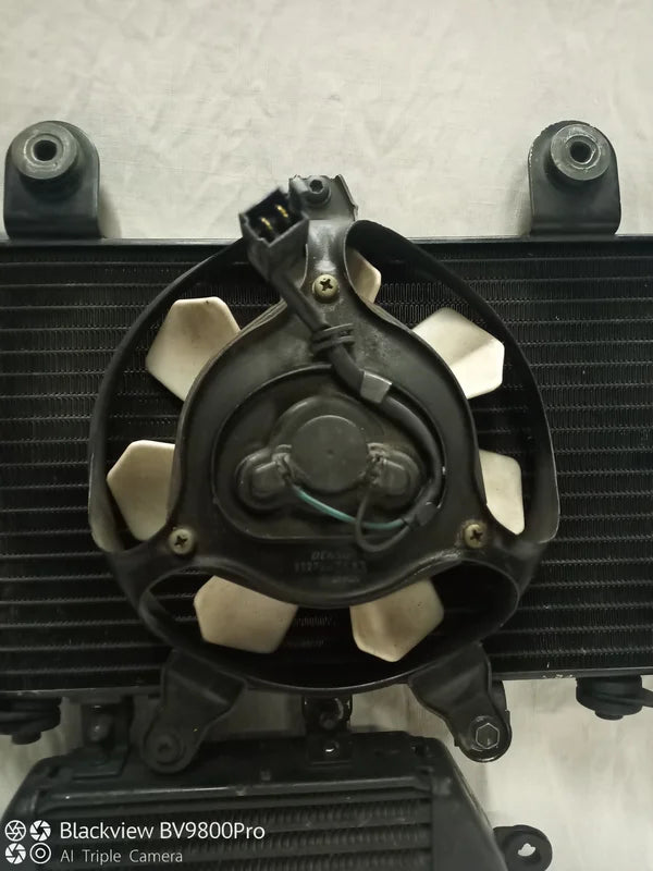 Radiateur TRIUMPH TIGER 955i de 2001