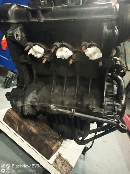 Moteur complet TRIUMPH TIGER 955i de 2001