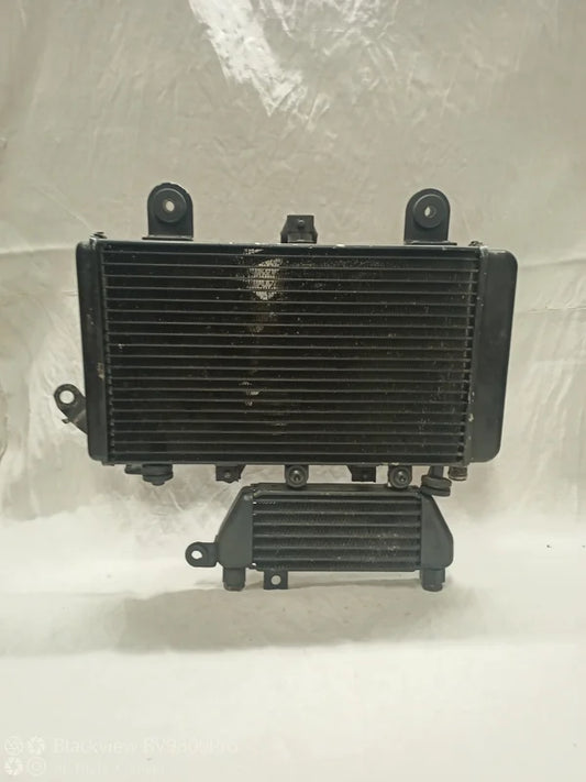 Radiateur TRIUMPH TIGER 955i de 2001