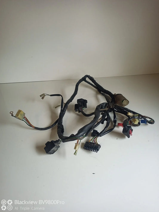 Faisceaux électrique HONDA HORNET 600 de 1998