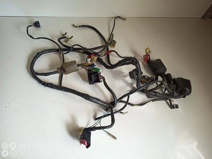 Faisceaux électrique HONDA HORNET 600 de 2003