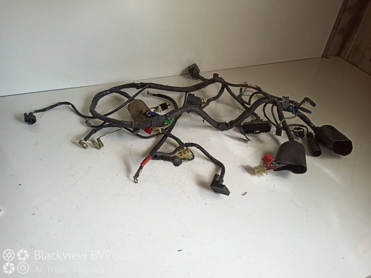 Faisceaux électrique HONDA HORNET 600 de 2003