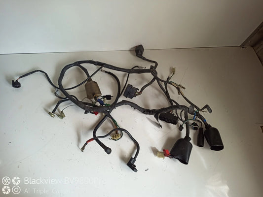 Faisceaux électrique HONDA HORNET 600 de 2003