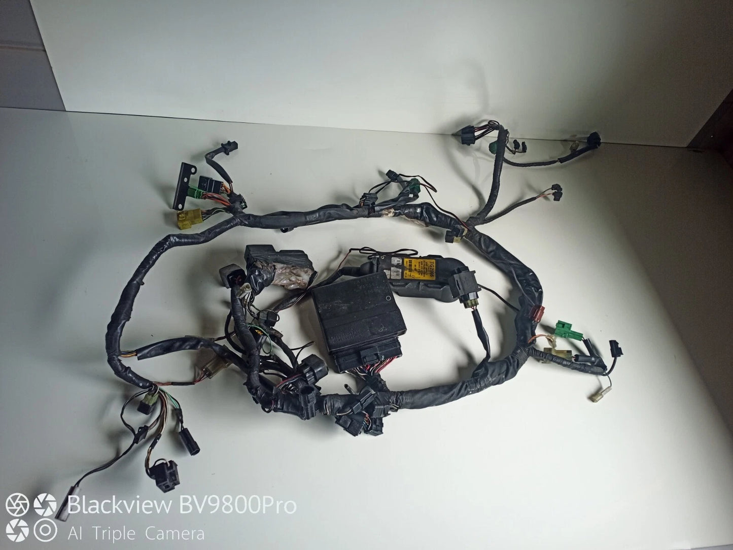 Faisceaux électrique avec alarme SUZUKI SV650N de 2006