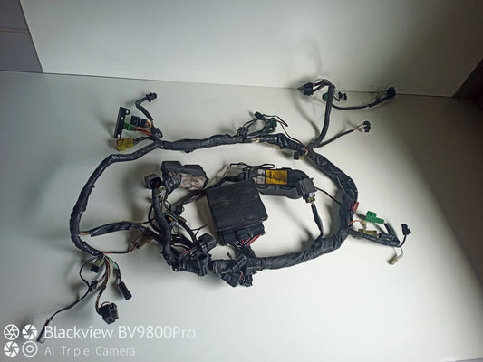 Faisceaux électrique avec alarme SUZUKI SV650N de 2006