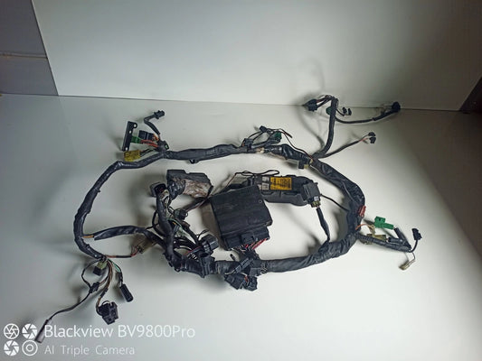 Faisceaux électrique avec alarme SUZUKI SV650N de 2006